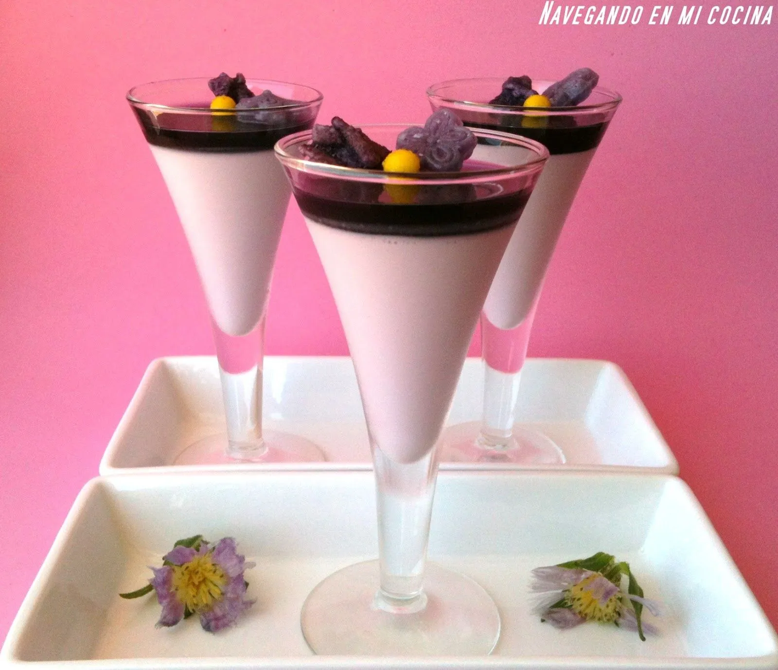 Navegando en mi Cocina: PANNA COTTA CON GELATINA DE VIOLETAS