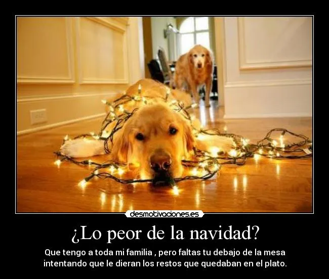 Lo peor de la navidad? | Desmotivaciones