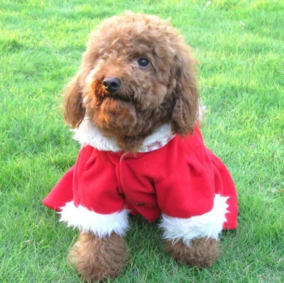 De navidad para perros ropa/monos de pet-Ropa o accesorios para ... De navidad para perros ropa/monos de pet-Ropa o accesorios para ...