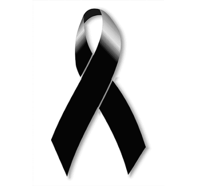 UN MAL NECESARIO: octubre 2010