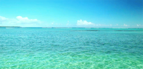 NECESITAMOS LA NATURALEZA. - Factor Diferencial