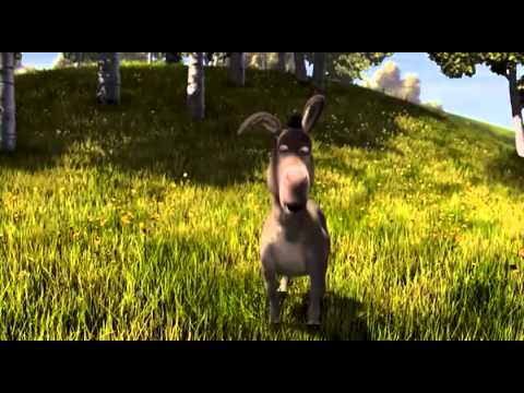 Necesito que me apapachen - YouTube