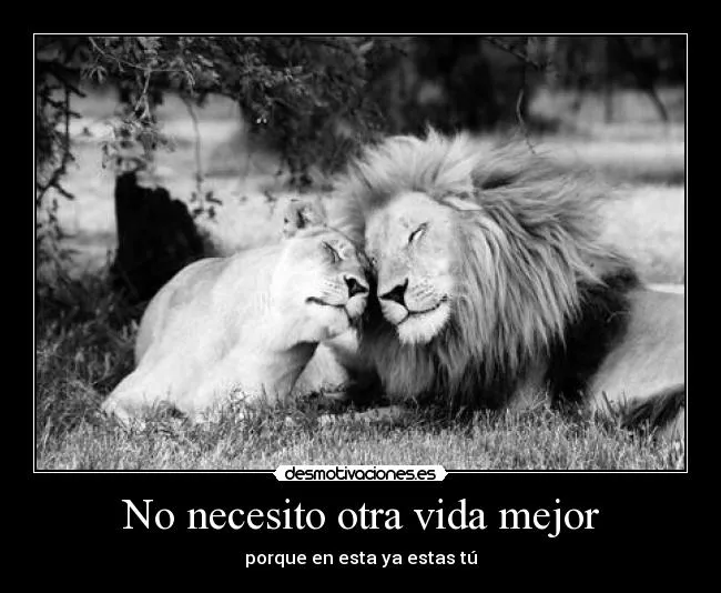 No necesito otra vida mejor | Desmotivaciones No necesito otra vida mejor | Desmotivaciones