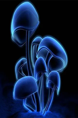 Neon mushroom iPhone Wallpapers, Neon mushroom iPhone Backgrounds ...