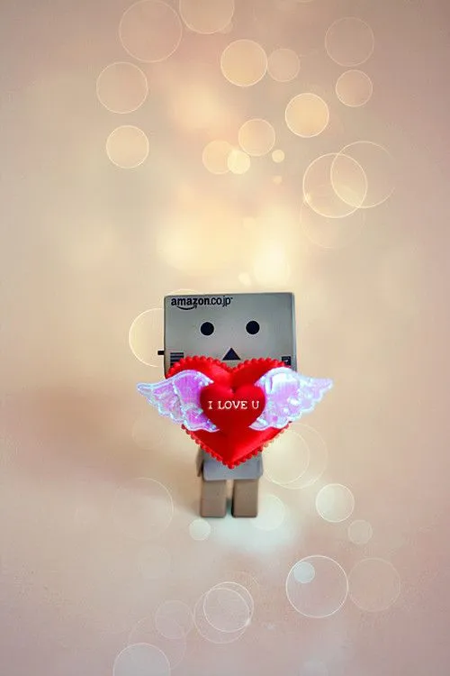 Nessa Candy Photography ♥ ·: Cajas de Amazon;24-