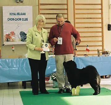 NetChows.com ShowNews - Chow-Chow Dog Show Results :: Belgium ...