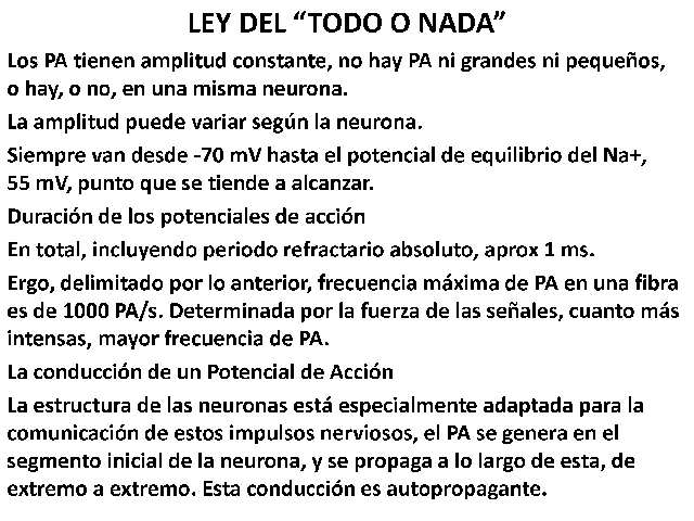 La neurofisiologia - Monografias.com