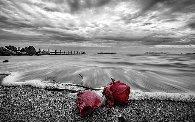 13 mujeres - 13 rosas, del olvido a la memoria - Noticias de ... 13 mujeres - 13 rosas, del olvido a la memoria - Noticias de ...