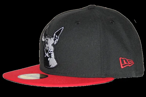 new-era-mexico-xolos-15.png