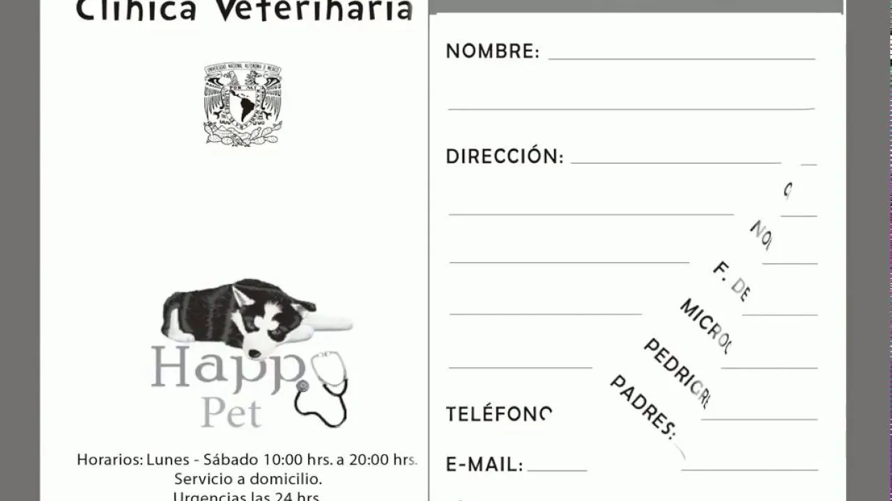 NEWSISTEC CARNET VETERINARIO - YouTube