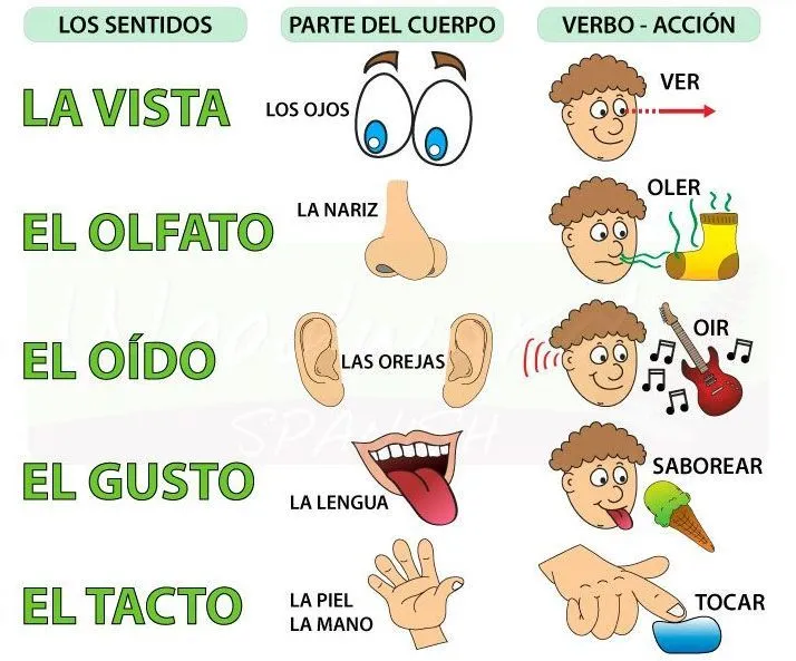 El Nido del Paraguas: Activities during the week El Nido del Paraguas: Activities during the week