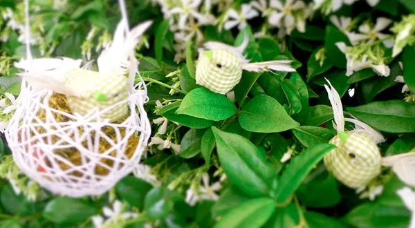 Nidos de pajaritos. Manualidades fáciles con globos y lana ...