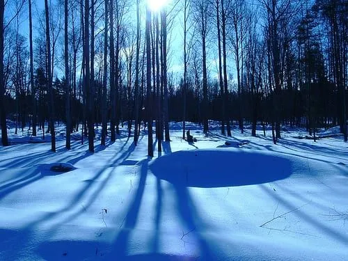 nieve Paisajes de Suecia, un mundo de sensaciones