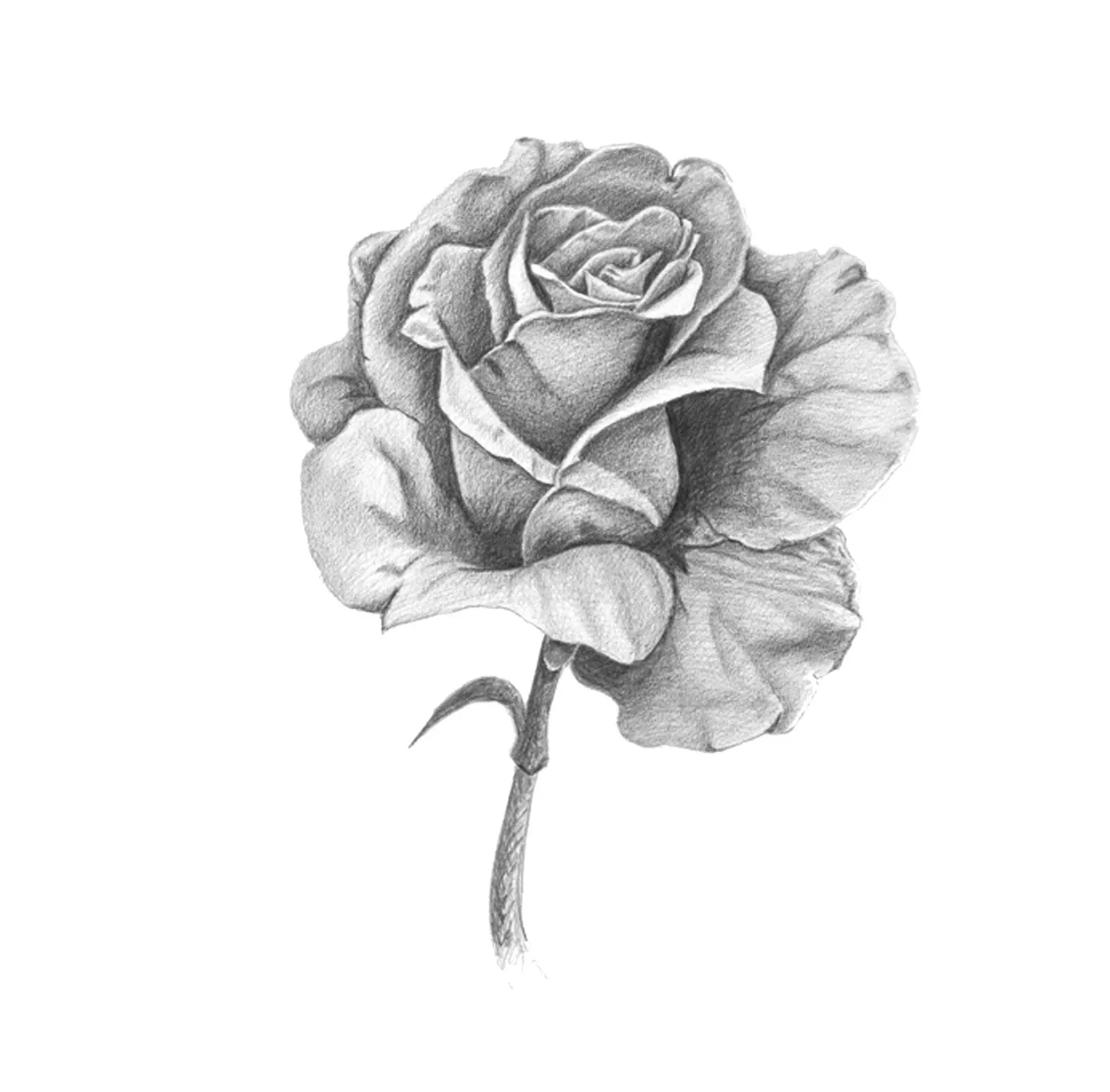 Nihamara Ilustraciones