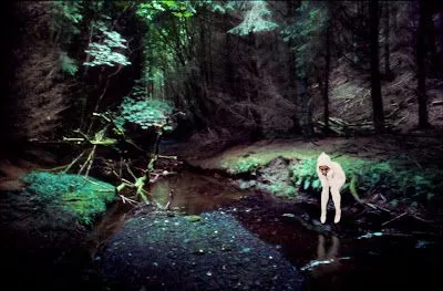 nilamadrenielcordero: bosque animado nilamadrenielcordero: bosque animado