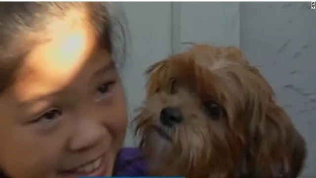 Niña de 10 años ofrece dinero de su alcancía por su cachorro ... Niña de 10 años ofrece dinero de su alcancía por su cachorro ...