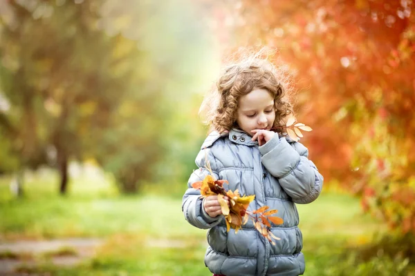 niña jugando con hojas de oro en el otoño de parque — Foto stock ...