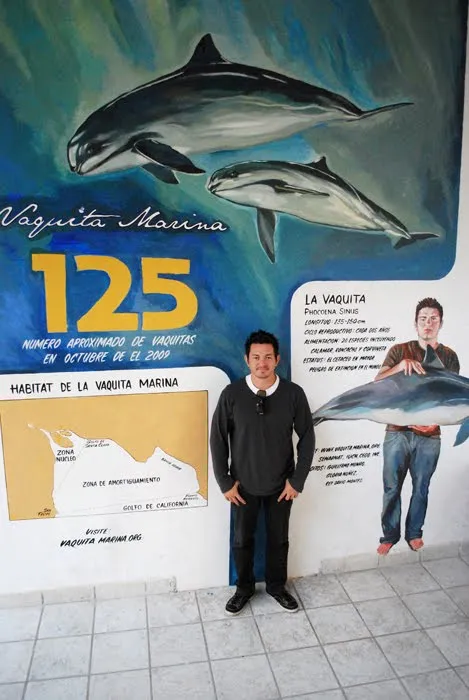 Nina Mier: Mural de La Vaquita Marina, su conservación Nina Mier: Mural de La Vaquita Marina, su conservación