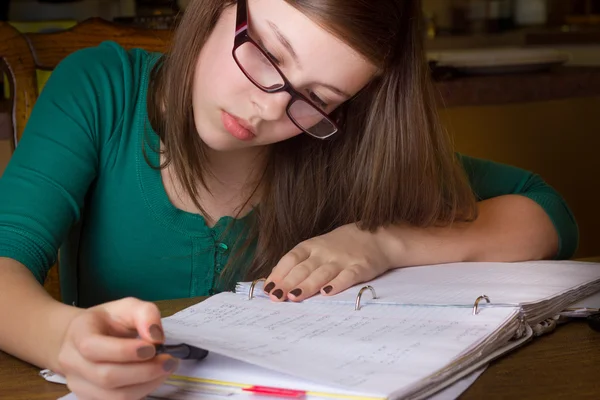 Niña haciendo tarea — Foto stock © littleny #11420981