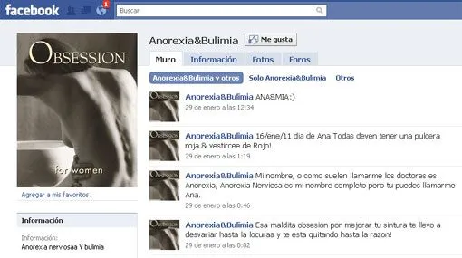 Niñas que usan Facebook están más propensas a la bulimia y ...