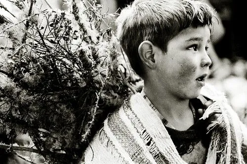 NIÑO CAMPESINO | Flickr - Photo Sharing!
