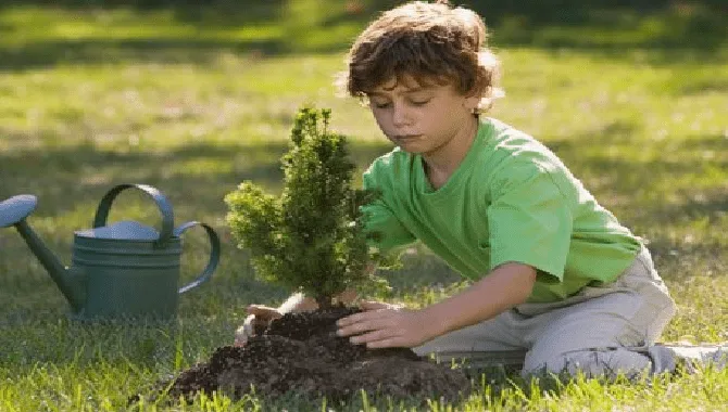 Imagenes de niños plantando arboles - Imagui