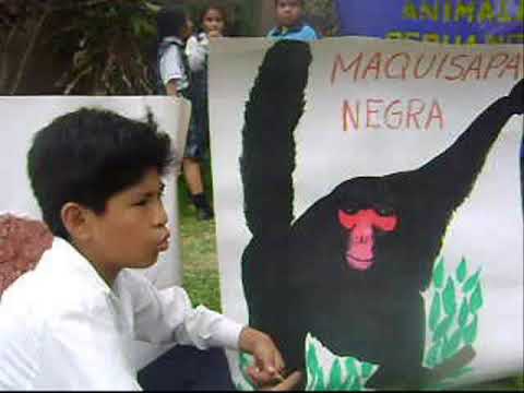 NIÑOS EXPONIENDO - I.E.P. "ALEXANDER FLEMING" - 4º GRADO - YouTube NIÑOS EXPONIENDO - I.E.P. "ALEXANDER FLEMING" - 4º GRADO - YouTube