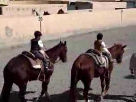 NIÑOS MONTANDO A CABALLO 2 - YouTube