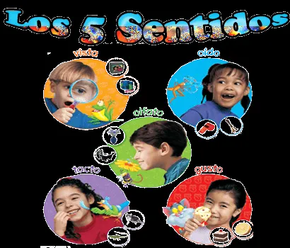 Los niños y niñas de Primero de Primaria: Los sentidos