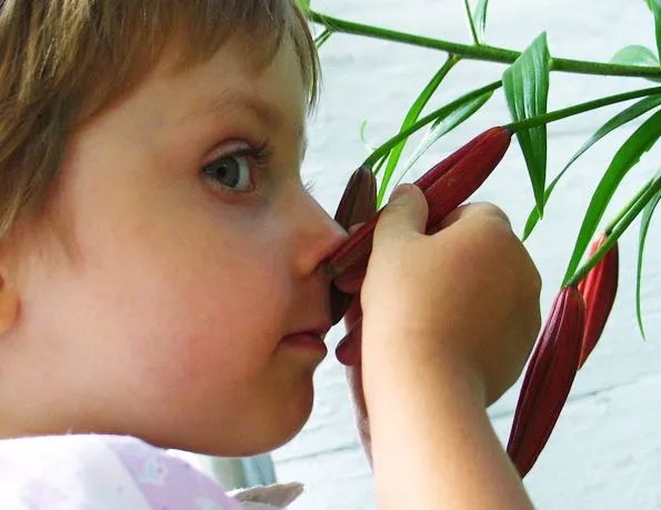 Un niño oliendo una comida - Imagui