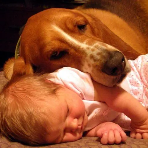 NIÑOS Y PERROS | POCA TINTA NIÑOS Y PERROS | POCA TINTA