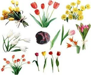  ... Nishiky Valdivia 99825*4960 - Lima Perú desde 2005: Flores clipart