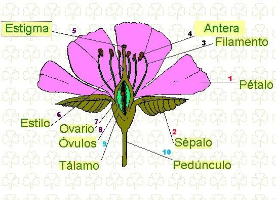 NOBELDELETRAS801