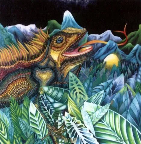 Noche de la Iguana | WAF