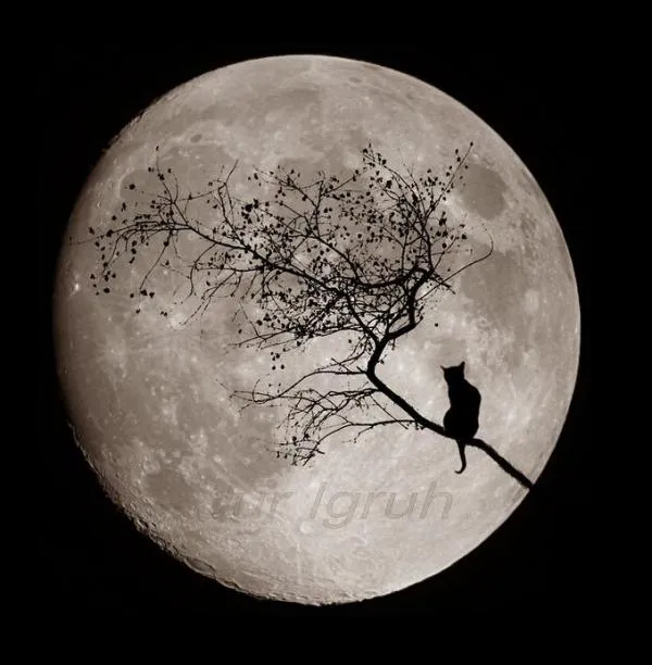 Era noche de luna llena, Vicente Leñero | Me sabe a)mar Era noche de luna llena, Vicente Leñero | Me sabe a)mar