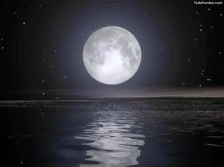 LA NOCHE DE LOS PERDIDOS. EL FINAL DEL AMOR. POEMA DE INGEBORG ...