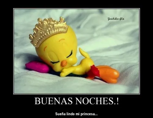 Buenas noches princesa | Mi amor... Te amo !