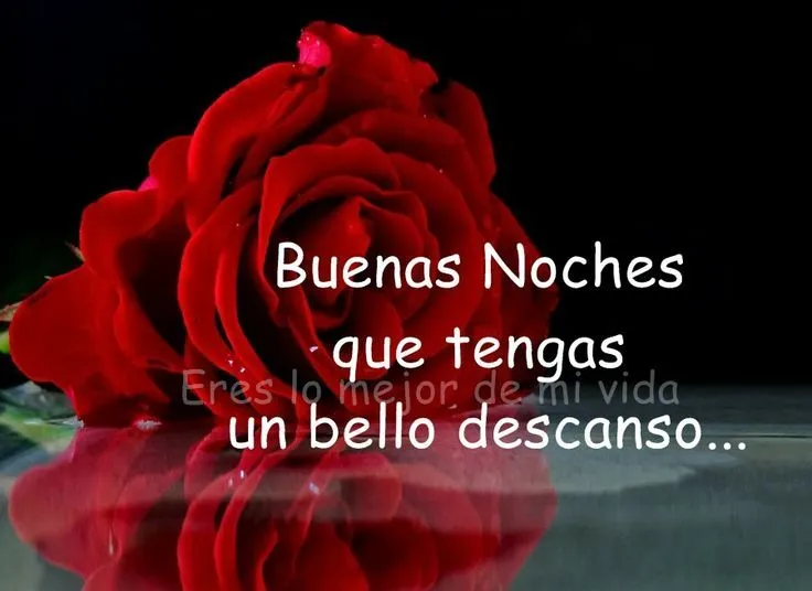 Buenas noches mi rosa hermosa | Cary Gran | Pinterest Buenas noches mi rosa hermosa | Cary Gran | Pinterest