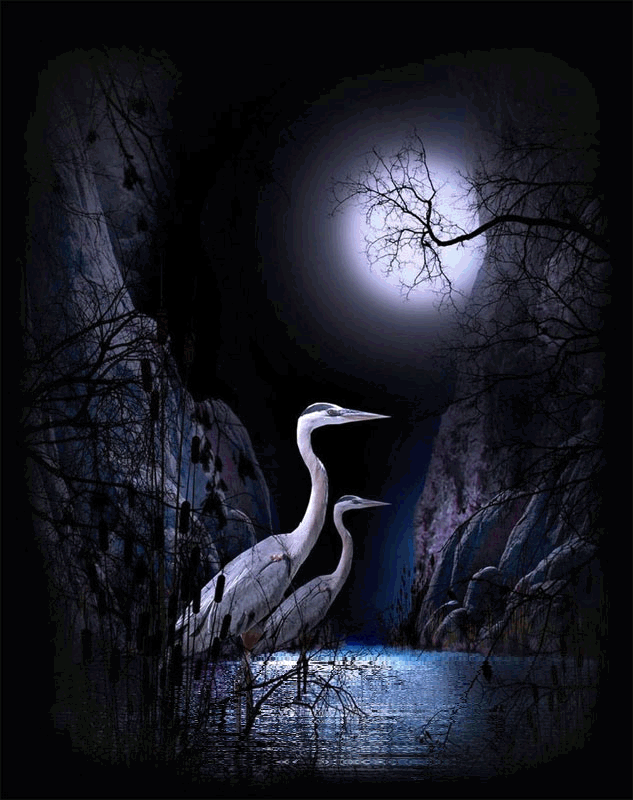 BUENAS NOCHES...HERMOSOS SUEÑOS..♥♥♥ | diosesencuerposhumanos BUENAS NOCHES...HERMOSOS SUEÑOS..♥♥♥ | diosesencuerposhumanos