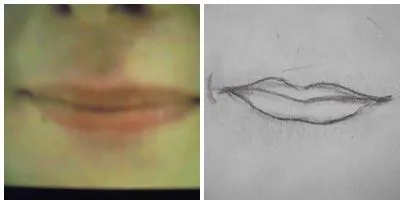  ... la nocion que tenia a la hora de dibujar un ojo nariz boca u oreja