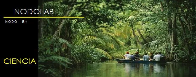 NODO B+ - nodolab