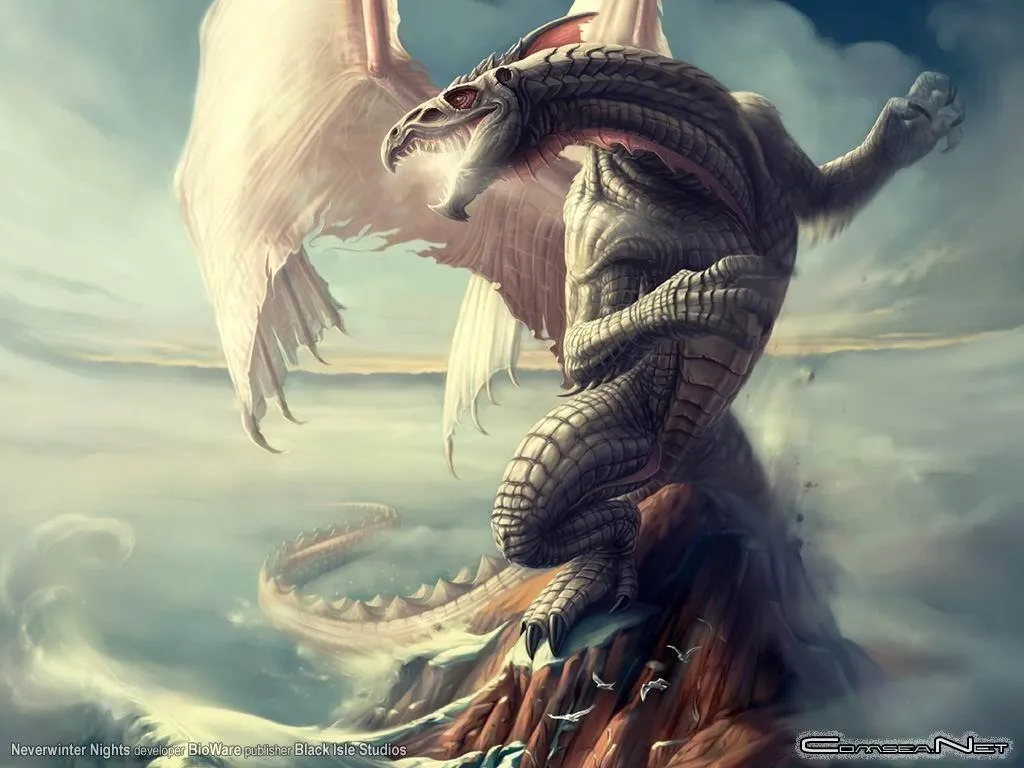 noiserbox: Ilustraciones de dragones.