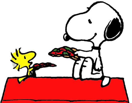 Diseñan VANZ con Snoopy y sus amigos | Gopyme