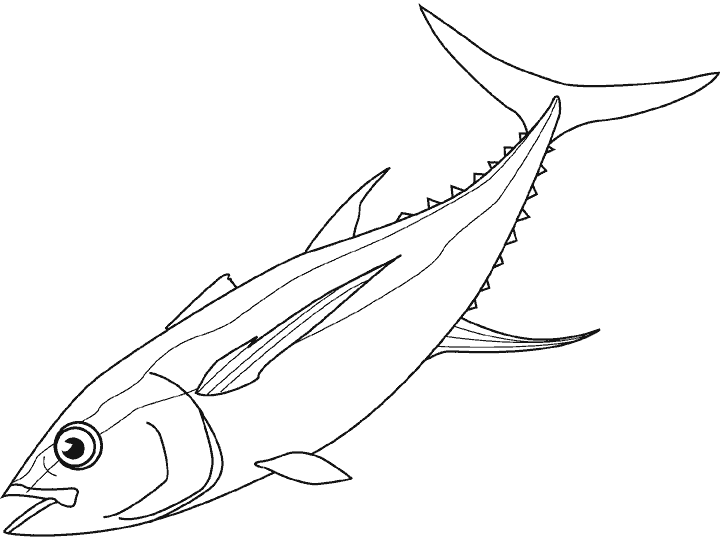 Dibujos para colorear de Peces, pez, Plantillas para colorear de ... Dibujos para colorear de Peces, pez, Plantillas para colorear de ...