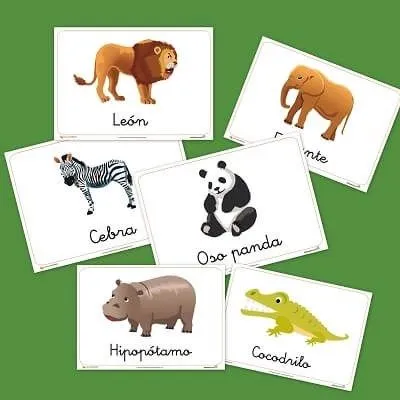 Nombre de animales salvajes en ingles - Imagui Nombre de animales salvajes en ingles - Imagui