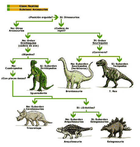 Fotos de dinosaurios con sus nombres - Imagui