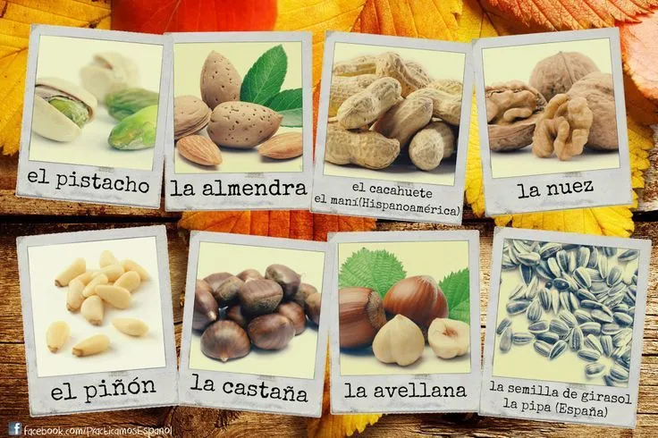 El nombre de los frutos secos | FRUTOS SECOS | Pinterest