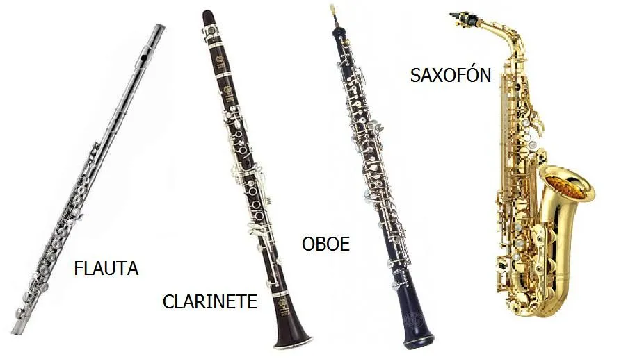Instrumentos de viento con nombre - Imagui