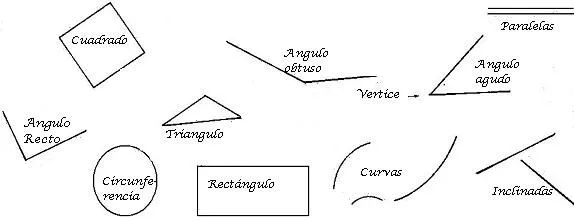 El costurero de Stella curso gratis