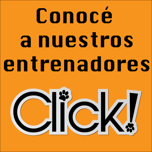 El mejor nombre para perros está acá!